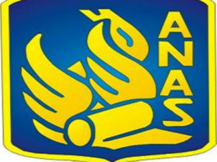 Anas, logo