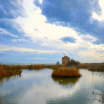 Riserva naturale regionale sentina