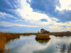 Riserva naturale regionale sentina