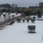 La zona di Monticelli ad Ascoli Piceno durante le nevicate di gennaio 2017