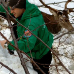 Un carabiniere forestale soccorre un cervo bloccato dalla neve ad Acquasanta Terme