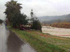 L'argine sud del torrente Tesino a Grottammare