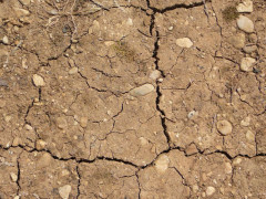 Siccità, caldo, terra secca