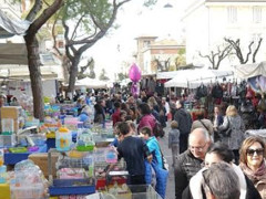 La fiera di S.Martino a Grottammare, edizione 2014