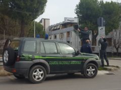Installazione telecamere a Monteprandone