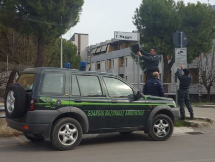 Installazione telecamere a Monteprandone