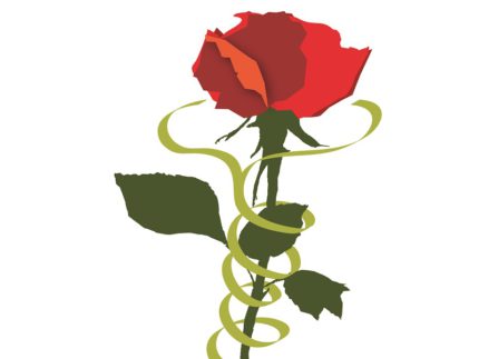 Rosa simbolo del festival "La Milanesiana"