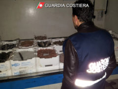 Controlli Guardia Costiera su filiera ittica Marche