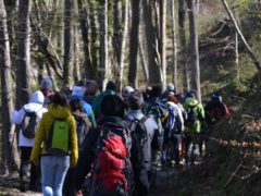 Festival dell'Appennino