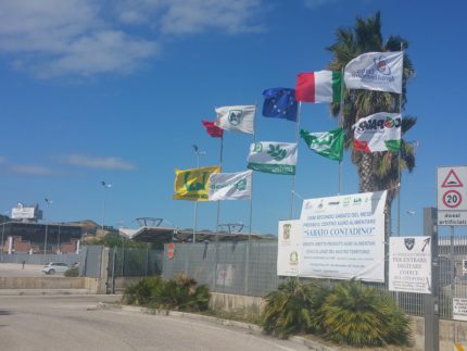 Centro Agroalimentare Piceno di Porto d'Ascoli