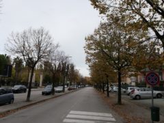 Via dei Tigli a Monteprandone
