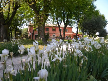 Un agriturismo nelle Marche