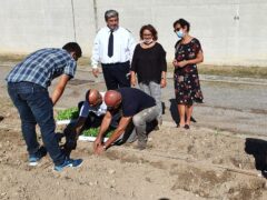 Orto sociale nel carcere di Marino del Tronto