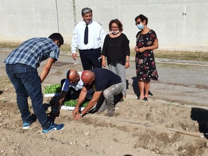 Orto sociale nel carcere di Marino del Tronto