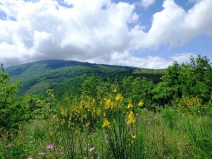 Paesaggio nei dintorni di Ascoli