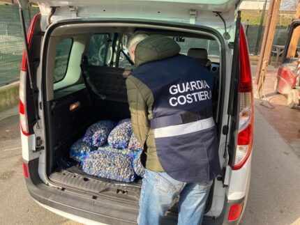 Vongole illecite scoperte a Cupra Marittima