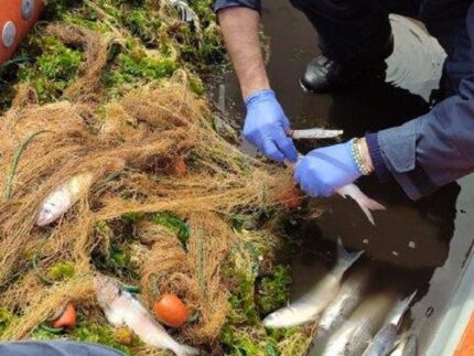 Reti da pesca abusive recuperate a San Benedetto