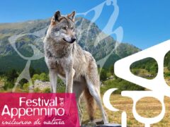 Festival dell'Appennino