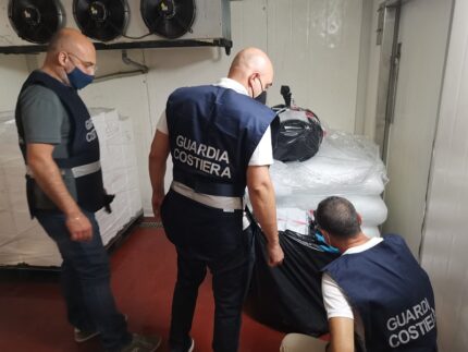 Merluzzo sequestrato dalla Guardia Costiera