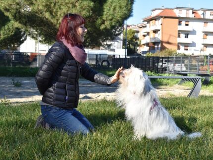 Parco per cani a Monteprandone