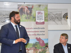 Presentazione Suino della Marca