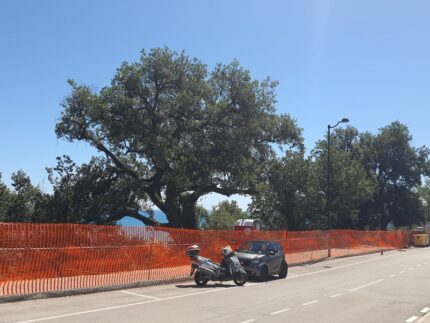 Lavori in via Cilea a Grottammare