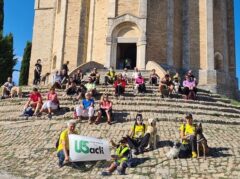 Camminata a sei zampe a Offida