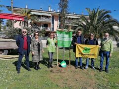 Festa dell'Albero a Monteprandone