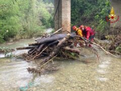 Alberi accatastati lungo il torrente Castellano