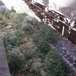 Degrado nel centro storico di Ascoli