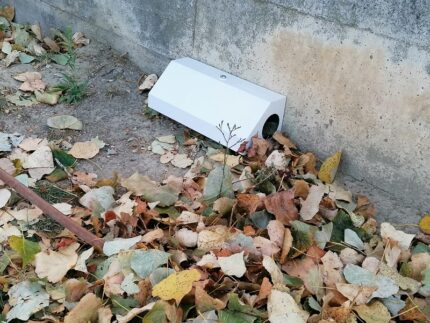 Derattizzazione