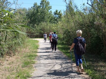 Nordic walking