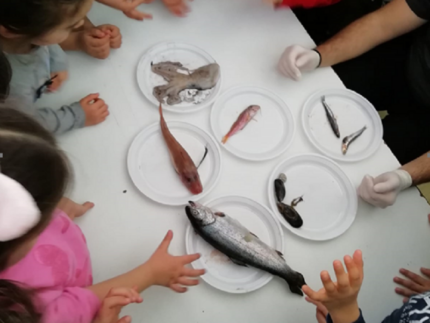 Campagna "Pappa Fish"