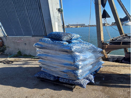 Prodotti ittici sequestrati ad Ancona
