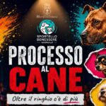 Locandina dell'incontro "Processo al cane"