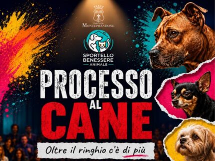 Locandina dell'incontro "Processo al cane"