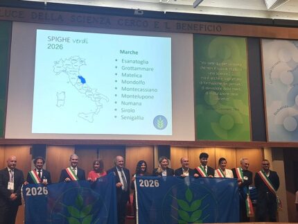 Comuni marchigiani "Spighe Verdi"