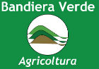 Bandiera Verde