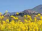 Paesaggio di Domenico Bergamaschi