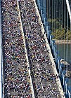 La maratona di New York (edizione 2008)