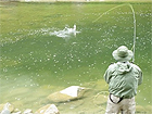 Pesca in fiume