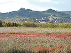 Riserva regionale della Sentina, San Benedetto del Tronto