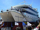 Il catamarano Regina Australe