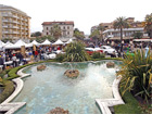San Benedetto Antico e le palme