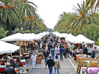 San Benedetto Antico e le palme