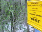 sospensione pesca sportiva